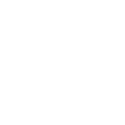 vector